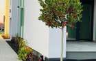Apartament 3 camere la parter cu gradina proprie - 14