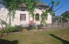 Casa individuala, 100 mp, teren 5000 mp, zona Mogosani - 1