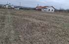 Teren de 2200 mp, în Gruiu - 4