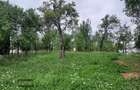 Breaza, Prahova, teren intravilan, 5000 mp - 6