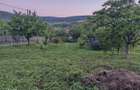 Teren Tomesti-Chicerea Urgent - 11