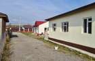 Casă cu Teren 350 Mp în Cojasca - 5