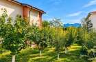 Vila turistica 6 cam, teren 900mp | Firma | Accept schimb