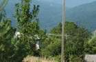 Teren intravilan Hangu - 1