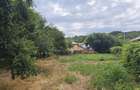 Izvoarele, Hotarele, Giurgiu - 6