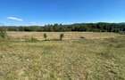 Vand teren comuna Cepari, jud. Arges - 5