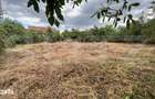 Casa cu teren intravilan de 1256 mp in Dumbrava, judetul Alba - 1