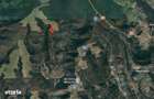 Teren extravilan Loc. Valea Mare, jud. Valcea - 4