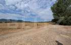 Teren extravilan de vanzare, 10.000 mp, zona Mures - 1