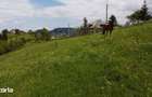 Teren intravilan 4.151 mp in Pe?tera (Moeciu), Proiect DTAC inclus - 9
