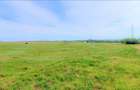 OCAZIE ! EFORIE NORD 3 LOTURI 517 MP. 19.500 EURO IDEAL INVESTITIE ! - 11