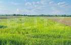 Teren 5500mp extravilan,Sat Dimoiu - 1
