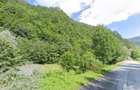 Vand teren intravilan in zona Raul Mare - Retezat - 3