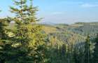 50 hectare teren | Moldova-Sulita | Potential turistic si agricol - 19
