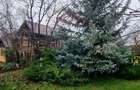 Casa / Vila de vanzare Belciugatele str. VIILOR - 11