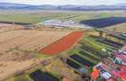 Teren extravilan Bod, 10.000 mp, acces DE 290, zona spre Harman - 9