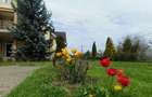 Vand casa lux,tip vila,Sangeorgiu de Mures,zona Apollo ,teren generos de 2200 mp