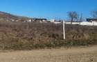 Teren de vanzare, 1800 mp, acces asfaltat - 5