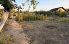 Casa de vanzare, 80 mp, teren 2330 mp, zona Arginesti - Filiasi (Dolj) - 6