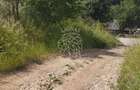 Teren 40.000 mp-ideal investitie-Slatinita - 3