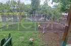 VANZARE CASA | TEREN 2.500 MP | LIVADA SI GRADINA | COMUNA BEUCA, TELE