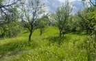 Teren de vanzare-zona Schiulesti Prahova - 2