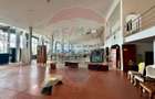 Hala/Showroom 1400mp Calea Moldovei - 13