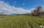 Chechis, 27 ari teren intrav. - Chechis (Maramures)