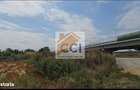 Teren intravilan 50.000 mp, Bacau, Soseaua Hol - 3
