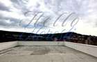 Penthouse superb, zona Stejarului - 2