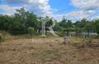 Casa cu teren generos | Spinus | Bihor