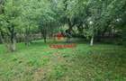 Casa in Campina--59.000 e - 9