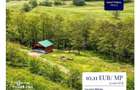 Teren 5.144 mp in Aurel Vlaicu, Sighisoara excelent pt investitii - 3