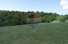 Teren de vanzare Preluca Noua, 1.5 ha, potential turistic - 5