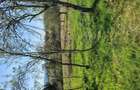 Vand casa ?i terenul aferent de 2 hectare intravilan - 7
