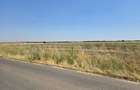 Teren extravilan Smardioasa, cota 1/6, ID: R2688427 - 5