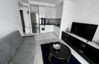 Studio dublu Ansamblul Rezidential Cosmopolis - 1