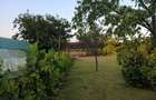GIURGIU - SE VINDE CASA (5 CAM) COM. ROATA DE JOS - 4