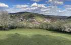 Teren intravilan 5.000 mp Garcina | 12 min de Piatra Neam? | Padure + priveli?te - 1