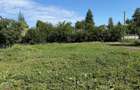 BRANESTI - Ilfov, teren de vanzare 1051 mp, deschidere 46 m, utilitati - 2