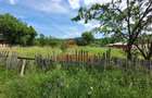 Teren intravilan in Brebu-- 3399mp--81.500e - 5