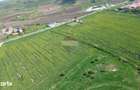 Teren de vanzare sau inchiriat 19ha intravilan, Agnita,Sibiu - 4