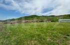 Hala, 230mp , zona Sud - 13