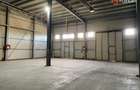 Hala industriala 380 mp + 40 mp de birou, zona - Calea Sagului - 7