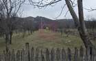 Teren 734 mp intravilan de vanzare in Brebu - 1