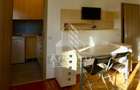 Apartament 1 camera, zona Podgoria - 4