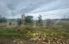 Teren extravilan, 3700mp, zona Unirea - 2