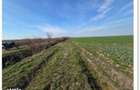 Teren extravilan arabil-Com.Madaras, Jud. Bihor
