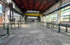 Hala industriala de inchiriat, 1.000 mp + teren 5.000 mp - 9