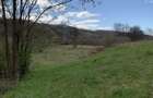 Vand teren retras, deosebit - 6